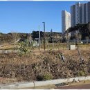 나이스부동산중개사무소 이미지