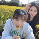 트로피컬하이드어웨이 이미지