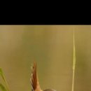 세븐일레븐 대구본점 이미지