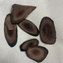 자양경희한의원 이미지