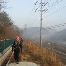 260308 - Burning Love (Elvis Presley) 이미지