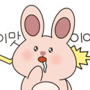 꼬꼬리아 이미지