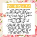 숲의류매장 이미지