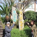 로그맨 하우스 이미지