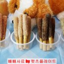 펫츠플레이트 이미지