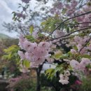 수양천안·아산