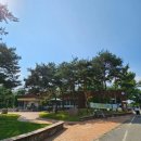 호암생태전시관 화장실 이미지