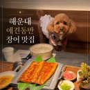 한입주개 | 모임하기 좋은 해운대 장어 맛집 칠암만장, 애견동반가능 룸식당 내돈내산 후기