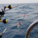 파미리더 이미지