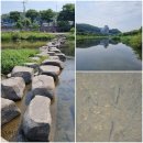 승원친환경기술 | [공주여행-1/3]유구색동수국정원-마곡사-연미자연미술공원-공산성-(공산성 카페)-중동성당-갑사-(율화관...