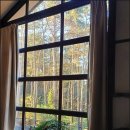 트리캠핑장 이미지