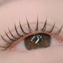 르베르 뷰티&아카데미 이미지