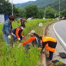 북면면사무소 이미지