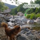 상비 캠핑장 이미지
