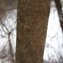 태학산약수 이미지