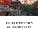 [공지] 경주 단풍 여행지 BEST 5: 고대 신라의 아름다운 가을 풍경