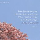 성도의 노래 이미지