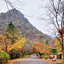 cafe 바람구름 이미지