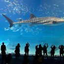 월드콘도 이미지