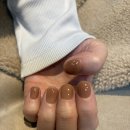 피오리레 이미지