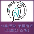 서울앤탑 동물병원 이미지