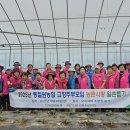 등동2리 이미지