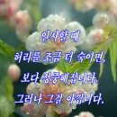 부활절에 부쳐외5건 [유태오회장님의 카톡에서] 이미지