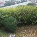 길냥이와 함께하는 이미지