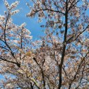 명문주유소 이미지