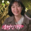 보라카이프린스