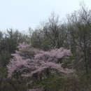 뜨레난농장 이미지