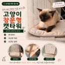 반갑다 창문밖 고양이 | 고양이 창문캣타워 고양이창문해먹 애니멀리프 캣타워 추천