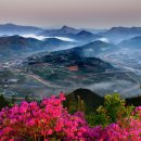 앞섬마을 이미지