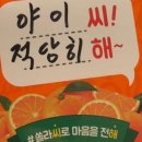 앙띠끄