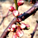 가곡중학교 이미지