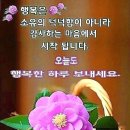 ♤행복하게 사는 법♧ 이미지