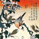 백살롱 네이버블로그