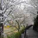 황새울3길 이미지