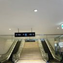 &#39;레푸스 신용산점&#39; 용산 내성발톱 교정 2차 관리 후기