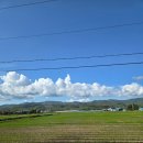 팔형제 농장 | [삿포로 5박 6일 모녀여행] 3일차 - 비에이 버스 투어 후기, 인생스프카레