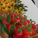 다온농장 이미지