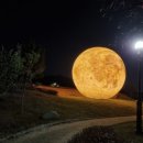 솔향주유소 이미지