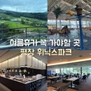훼밀리골프 | [평창 휘닉스파크]블루캐니언 워터파크,리조트,조식후기 l 여름휴가,아이와함께,데이트,기념일 l...