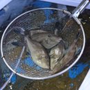 감포해산물 이미지