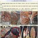 신기축산 이미지