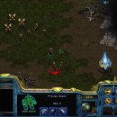 할머니족발 이미지