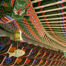 장생원