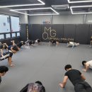 ORIGINAL MMA GYM 네이버블로그