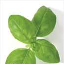 허브인허브 이미지