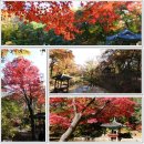 성북동 경양식 이미지